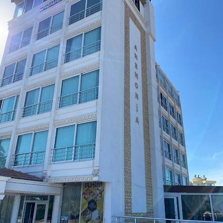 Anemonia Otel 阿纳穆尔 外观 照片
