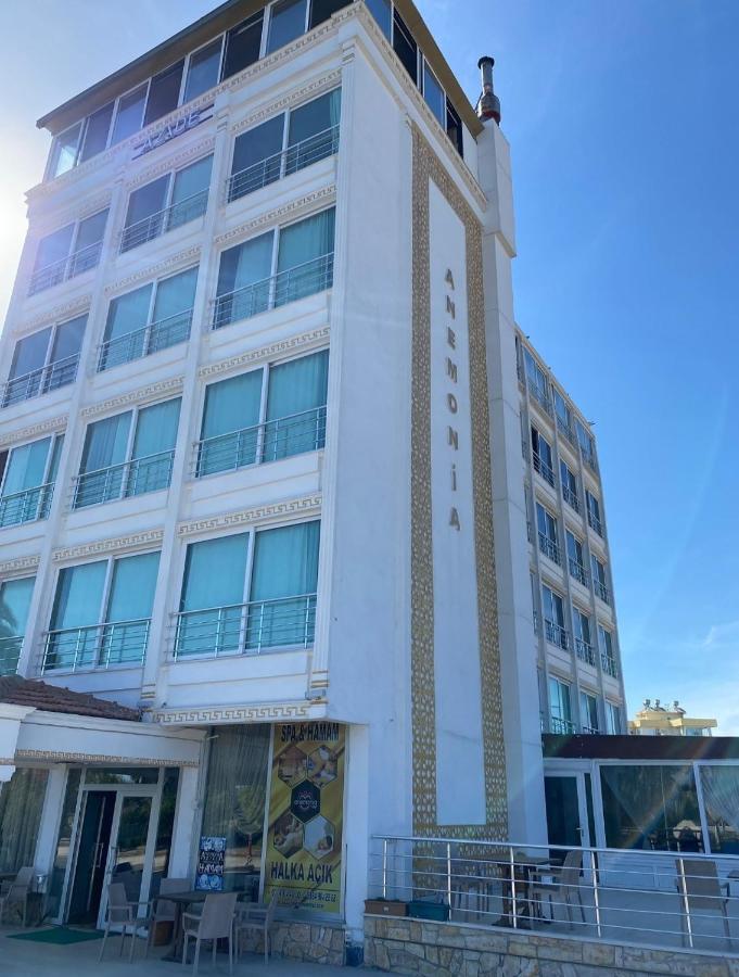Anemonia Otel 阿纳穆尔 外观 照片