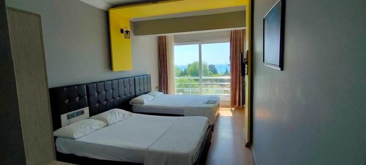 Anemonia Otel 阿纳穆尔 外观 照片