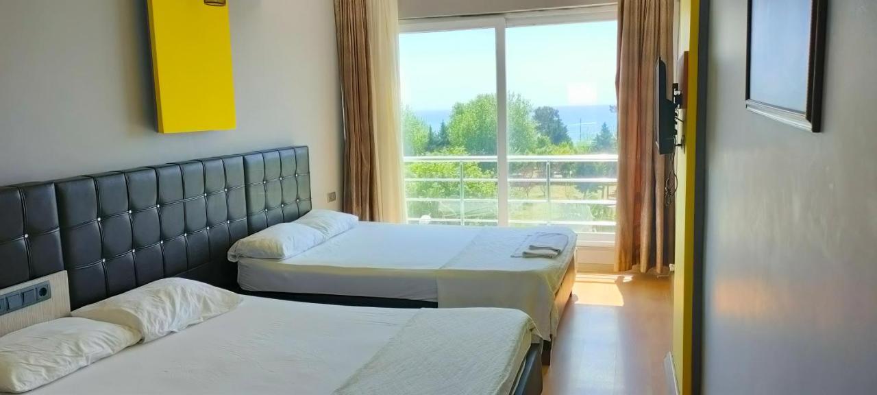 Anemonia Otel 阿纳穆尔 外观 照片